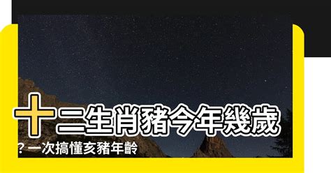 豬年 年份|屬豬今年幾歲？2024屬豬生肖年齡對照表！屬豬性格特質